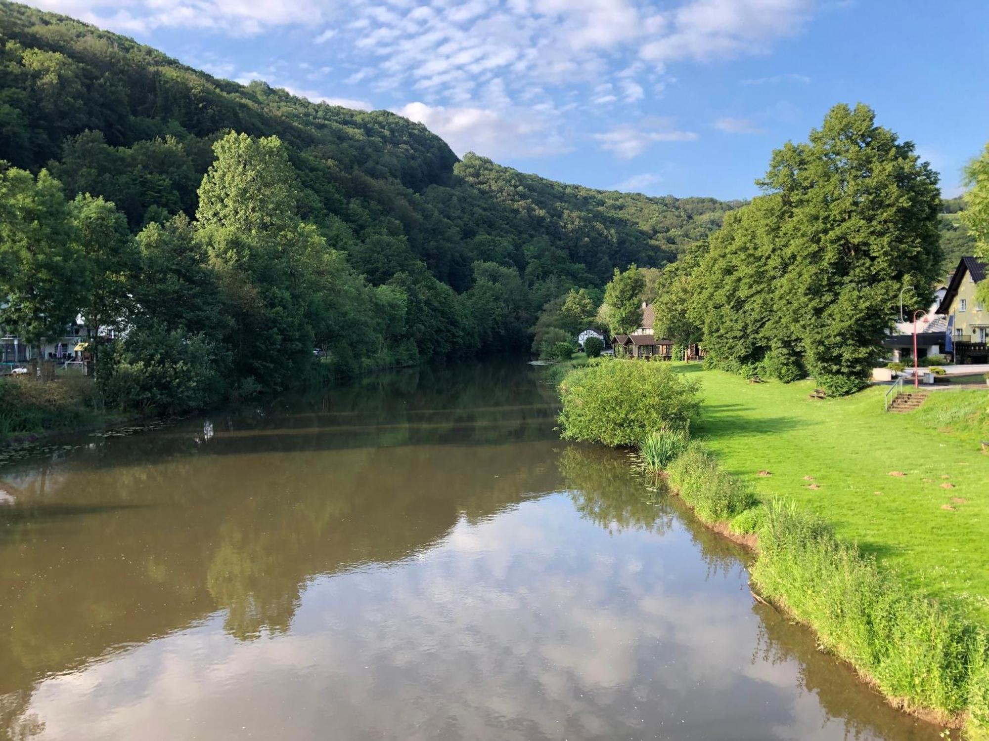 Ferienwohnung "Gaston" Mitten In Waldbreitbach Esterno foto